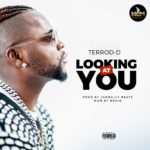 New Music: Listen to “Looking At You” by Terror D