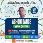 Drizilik at Freetown Amusement Park: What you need to know