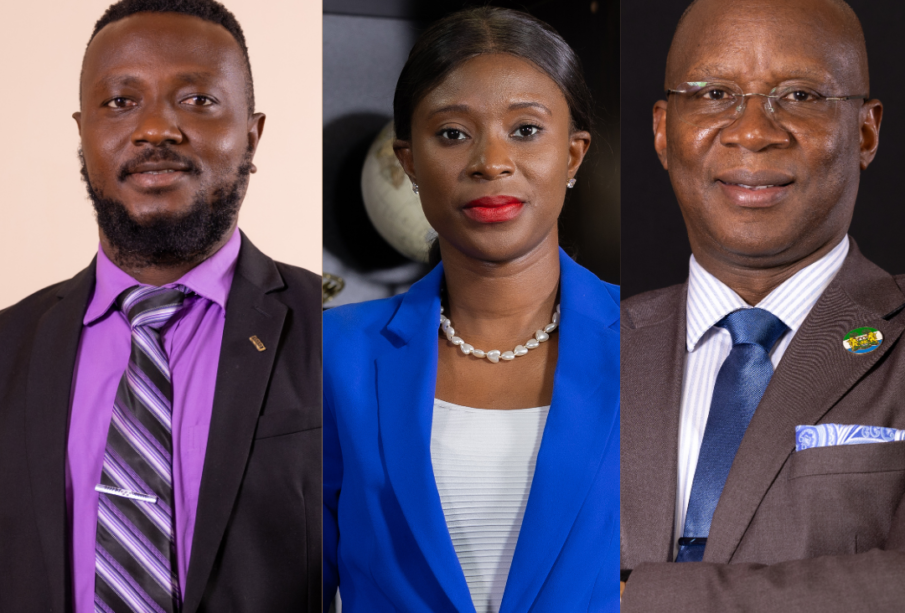 Leadership at INTEGEMS