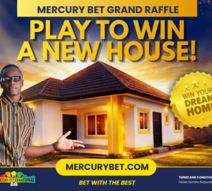Mercury International
