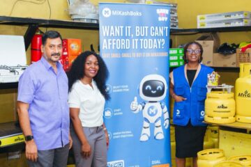 From Savings to Safety: How to Upgrade Your Kitchen with Mikashboks
