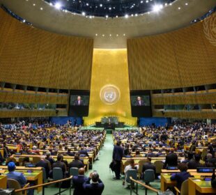 UNGA 81