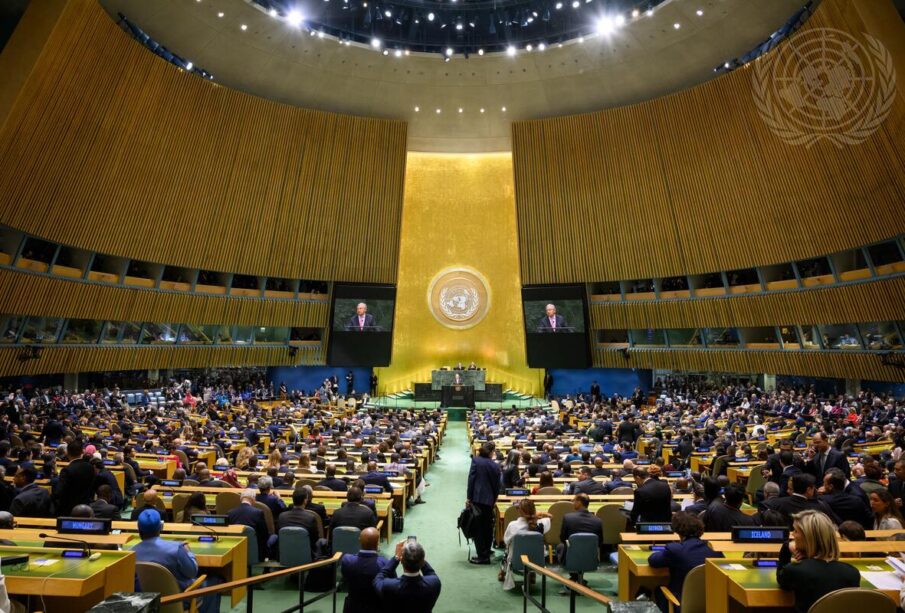UNGA 81