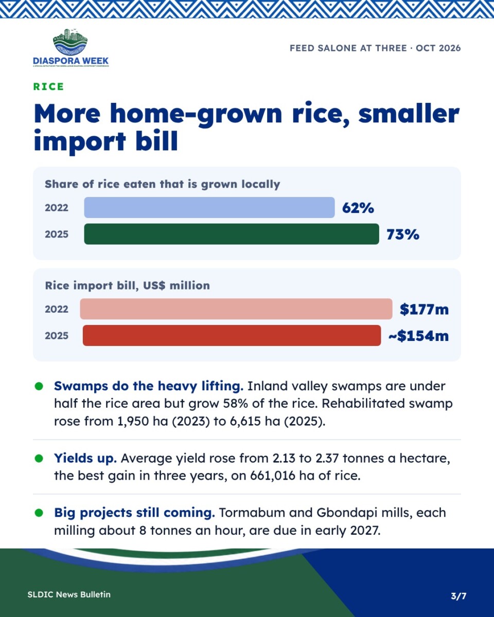Rice: share grown locally and import bill