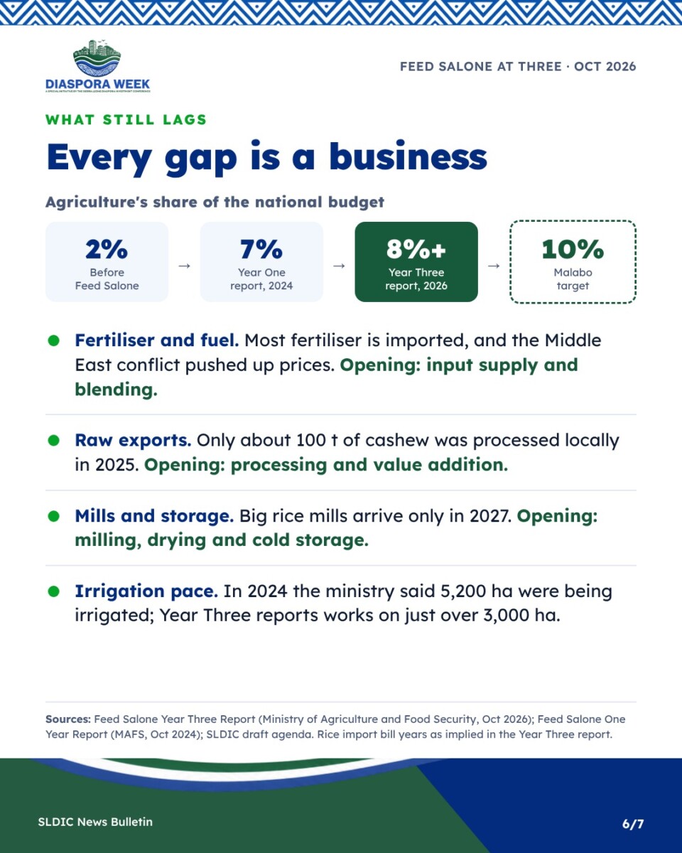 What still lags: budget share and business openings