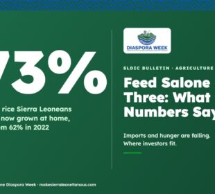Feed Salone at Three: 73% of the rice Sierra Leoneans eat is now grown at home