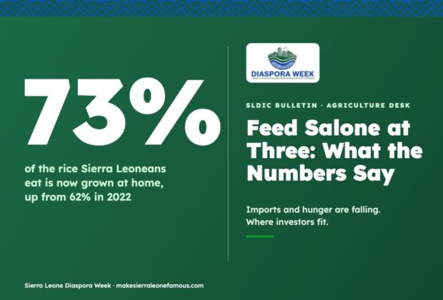 Feed Salone at Three: 73% of the rice Sierra Leoneans eat is now grown at home