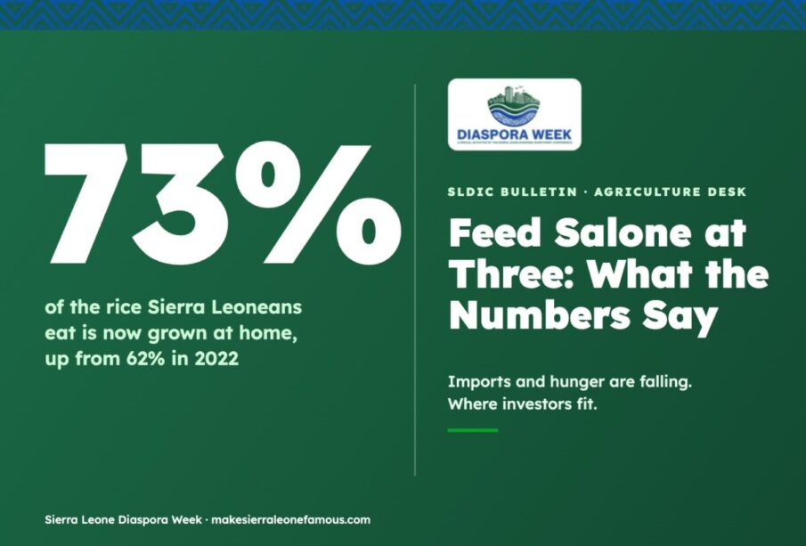 Feed Salone at Three: 73% of the rice Sierra Leoneans eat is now grown at home