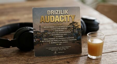 Track list of the Album Audacity by Drizilik