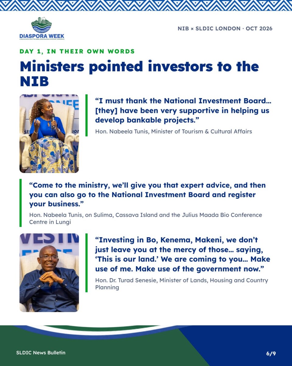 Ministers pointed investors to the NIB