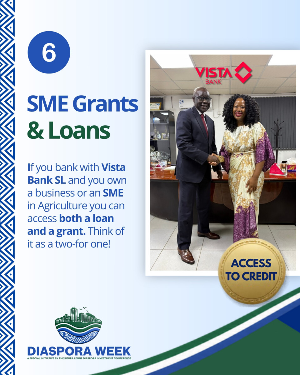 6. SME grants and loans