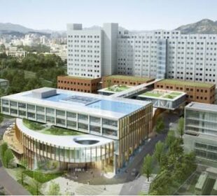 Yeungnam University